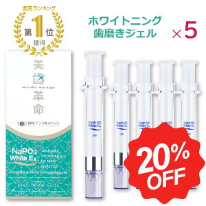 _ }\ԒN[|GET 20%OFF ^y yV1 z zCgjO   WF 5{  v p  ݂ WF R[eBO j L a moߕq z[