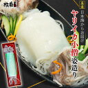 ★ポイント10倍★日本海直送！ヤリイカの姿造り