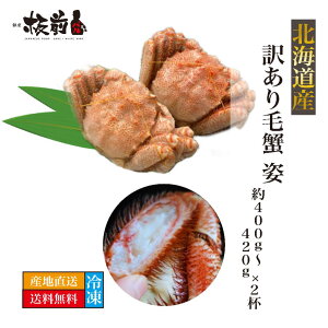 kCY 󂠂 ъI p 400~420g 2t уKj I Jj   {C I  CN Zbg 񂹃O lߍ킹 O Mtg MtgZbg p ΂Mtg 