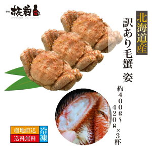 北海道産 訳あり 毛蟹 姿 約400~420g 3杯 毛ガニ 蟹 カニ かに けがに ボイル済 蟹鍋 送料無料 海鮮 セット お取り寄せグルメ 詰め合わせ グルメ ギフト ギフトセット 贈答用 喜ばれるギフト お