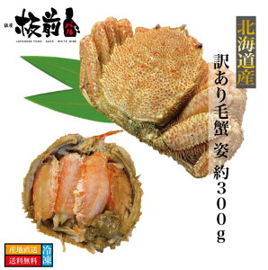 hKiIh Yn kC kCY 󂠂 ъI p 300g×1t Jj уKj  т I Y kC {C  CN  񂹃O lߍ킹 Mtg Mtg