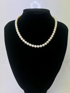 yi!!zp[lbNX@silver/Vo[@lbNX@^@7mm@fB[XANZT[@Ձ@@E@v@p[eB[@tH[}@SH241