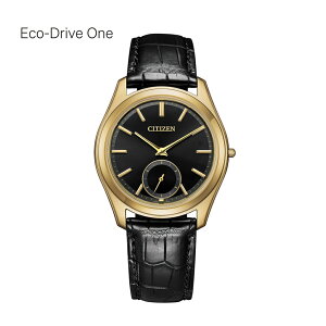 �V�`�Y�� CITIZEN �G�R�E�h���C�u ���� AQ5022-02E �r���v �����Y �G�R�h���C�u���� �b �w�����T��