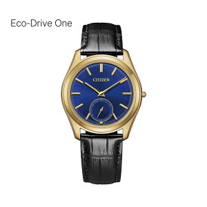 �V�`�Y�� CITIZEN �G�R�E�h���C�u ���� AQ5022-02L �r���v �����Y ����250�{ �G�R�h���C�u���� �b �w�����T��