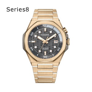 ywTzV`Y CITIZEN V[YGCg V[Y8  NB6069-53H