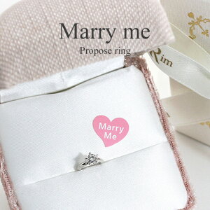 v|[YO 0.1ct VR_Ch w Vo[ P[Xt TvCYv|[Y w GQ[WO O `[ wMarry Me^}[~[EOx uC_ 