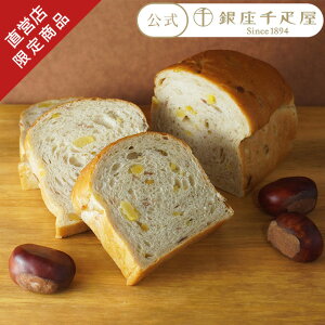 |Cg5{` 2025 D p peBX[D Mtg Gift 蕨 }p3{ m̂sn