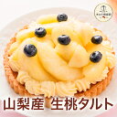 お買い物マラソン開催中ポイント15倍〜 お中元 夏ギフト 2025 ケーキ もも モモ タルト お菓子 スイーツ 贈り物 ギフト 千疋屋 パティスリー銀座千疋屋 送料無料 タルト倶楽部 山梨産　生桃タルト