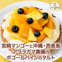 早得キャンペーンポイント5倍〜 お中元 夏ギフト 2025 ケーキ マンゴー パイナップル タルト お菓子 スイーツ 贈り物 …
