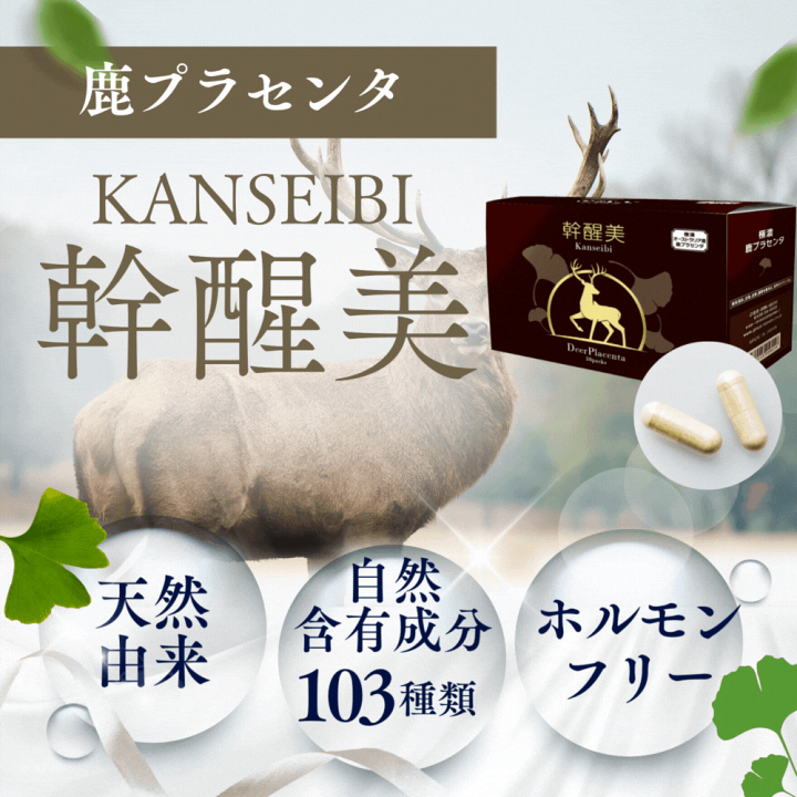 楽天市場】「8/1 00:00～ 8/1 23:59 15%OFF P20倍」幹醒美 美容