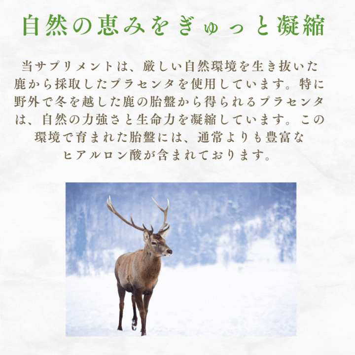 楽天市場】幹醒美 美容サプリ 鹿プラセンタ ヒアルロン酸
