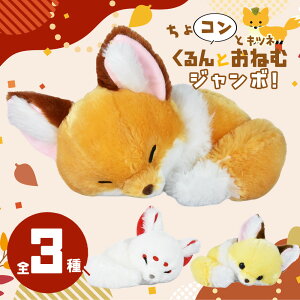 yő2000~OFFN[| 27()01:59zRƃLclƂ˂JB ؂Ƃ Ȃ 킽 ʂ A~[Y