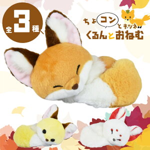 yő2000~OFFN[| 27()01:59zRƃLclƂ˂ST ؂Ƃ Ȃ 킽 ʂ A~[Y