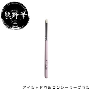 WS KOYUDO FM Casual ACVhEuV CS-10