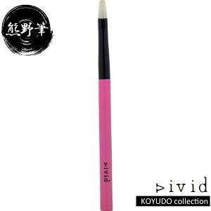 FM WS KOYUDO ACu[uV VIVID V-04