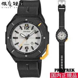 PROTREK �v���g���b�N PRJ-01-1JF �r���v CASIO �J�V�I PRO TREK �����Y