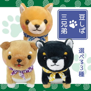 y5%OFFN[| 122()9:59zΎOZST Y W[ OY ʂ Č 񂿂 STCY