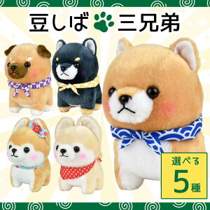 y5%OFFN[| 122()9:59z܂邽ܓΎOZST Y T W[ OY  ~ ʂ Č 킿 STCY