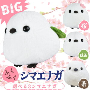 ӂӂV}GiK BIGTCY ʂ l` V} V} ܂