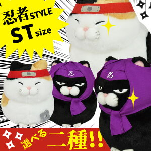 yő2000~OFFN[|11()09:59znЂ܂񂶂イST E҂݁[ Eҍ ʂ 704483 704484