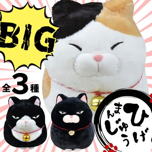 yő2000~OFFN[|11()09:59zЂ܂񂶂イBIGTCY ݁[   L ˂ ʂ l`