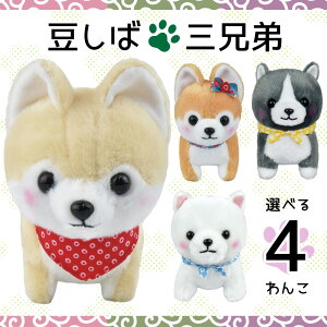 y5%OFFN[| 122()9:59zΎOZ STCY  ~ 炽  Č ʂ l`