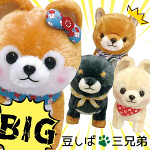 y5%OFFN[| 122()9:59zΎOZ BIGTCY Y W[  ~ Č ʂ l`