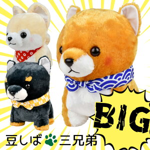 y5%OFFN[| 122()9:59z܂邽ܓΎOZ BIGTCY Y W[  Č ʂ l`