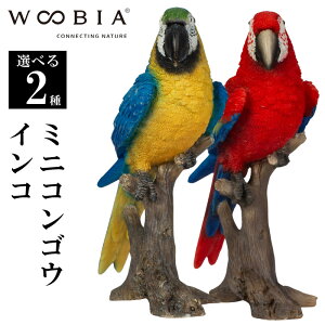 yő2000~OFFN[| 16()23:59z~jRSECR u[ bh CeA woobia E[rA l` u