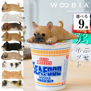Ԃt`EuhbO gCv[h r[O Č Č pO TogL gL OєL CeA woobia E[rA l` u