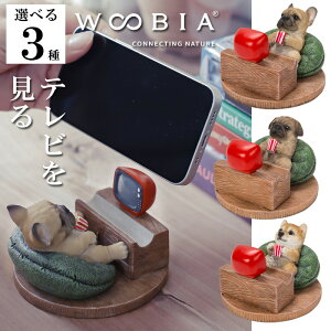 er t`EuhbO pO Č X}zX^h CeA woobia E[rA l` u
