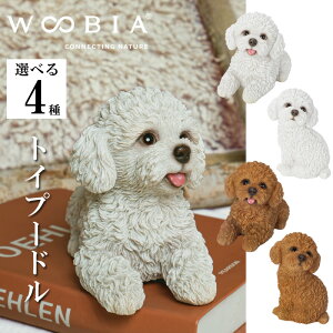 yő2000~OFFN[| 16()23:59zgCv[h Ԃ UԂ CeA woobia E[rA l` u