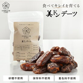 美ドンデーツ 100g デーツ 高品質なイラン産デーツ使用 ドライフルーツ おやつ 銀座ハリッチ ハリッチ