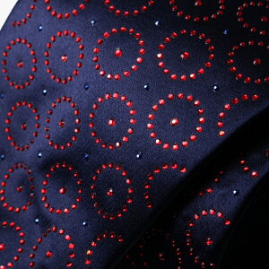 ySilvio Fiorello^VBIEtBIbzXtXL[tlN^C VN lCr[   Mtg 蕨 v[g p[eB[  񎟉 C^A D nhCh