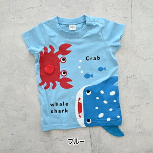 y2025T}[SALEI30%OFFzyTVcz`[N[ 2025t #450174 WxGUƃJjTVc 90cm 100cm 110cm 120cm j̎q ̎q xr[ ĕ a aj av[g aMt