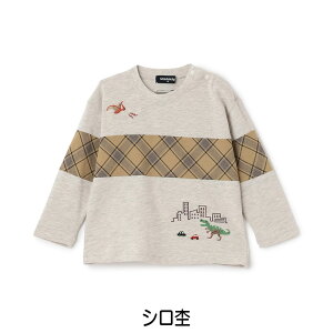 yTVczN[hXR[v kladskap #5353224 2025H~ ƊX`FbNؑ֒TVc j̎q j̎qTVc xr[ a aj av[g aMtg t@[Xgo[