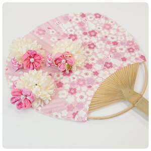 ywANbvzX}C[sbO aNbv wANbv   { nhCh aj a Mtg xr[Mtg ̎qwANbv Nbv {wAN