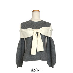 yXEFbgZIPp[J[zu[fCW[ Blue Daisy 2025H~ #21154204 {}V}jbg ̎qp qp a aj av[g a gbvX