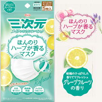 【お一人様3点まで】三次元マスク ほんのりハーブが香るマスク グレープフルーツの香り Refresh 少し小さめ M~Sサイズ 5枚入 メークがおちにくいマスク 興和【かぜ】【花粉】【PM2.5】【個別包装】【純日本製】