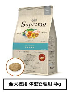 j[g@Vv@Sp@̏dǗp@4kgiNS130j