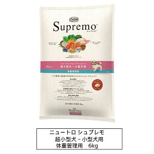 j[g@Vv@^`^p@̏dǗp@6kgiNS117j