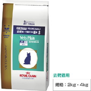 ロイヤルカナン ベッツプラン 猫用 メールケア 4kg