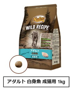 j[g@Lbg@Ch Vs@A_g@g@Lp@1kgiNW211j