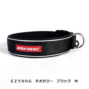 EZYDOG@lIJ[@ubN@M