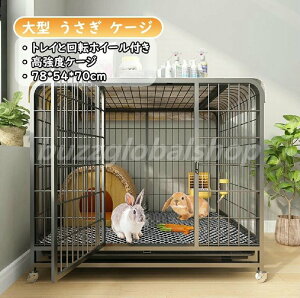 ybgP[W P[W@ @ybgnEX 傫   [P[W g[t ʕt P[W gCƉ]zC[t s͈͂ɍLĂ܂ 