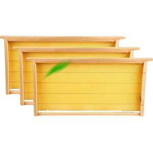 Ȋ I ~co`p  10pbN̖Ȋt[ ؐt[ X ̊b XeX| bV {Ic[ {Iݔ {Ip I  Ɨ{ILbg ȒPCXg[ 48.