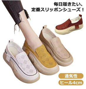 fB[X ʋC   Xb| Xb| O q[4cm C Xj[J[ RtH[gV[Y C Xb| [q[ V[Y  y C y Xj[J[ g