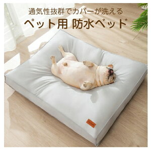 ybgxbh 􂦂 h NbV 傫 78×59cm \ ybg xbh ӂӂ Ck lR  L