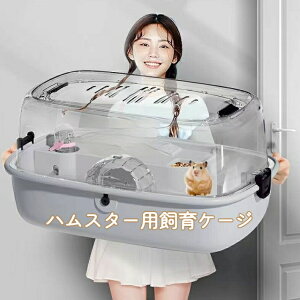 nX^[pP[X nX^[P[W  nEX 傫  Wt WKA Jt P[W ^P[W 킢  gݗĎ P[W