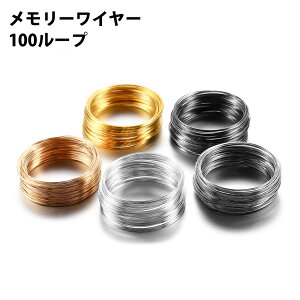 [C[ `L nhCh Ntg f ANZT[p[c C[ ޗ 100[v